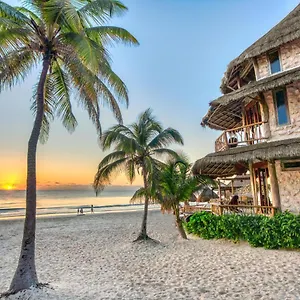 Alaya By Ahau Collection Tulum Pueblo